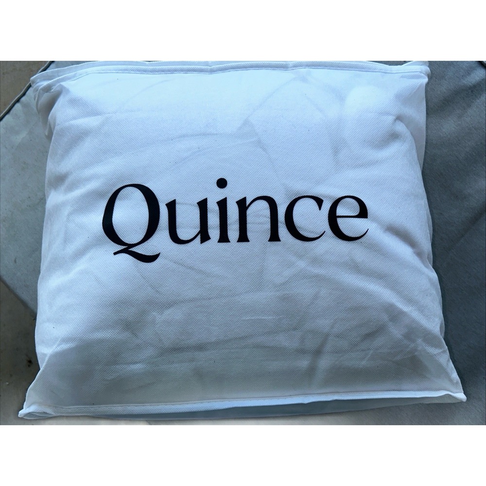$284 Quince All-Season Luxe Goose Down Comforter Twin